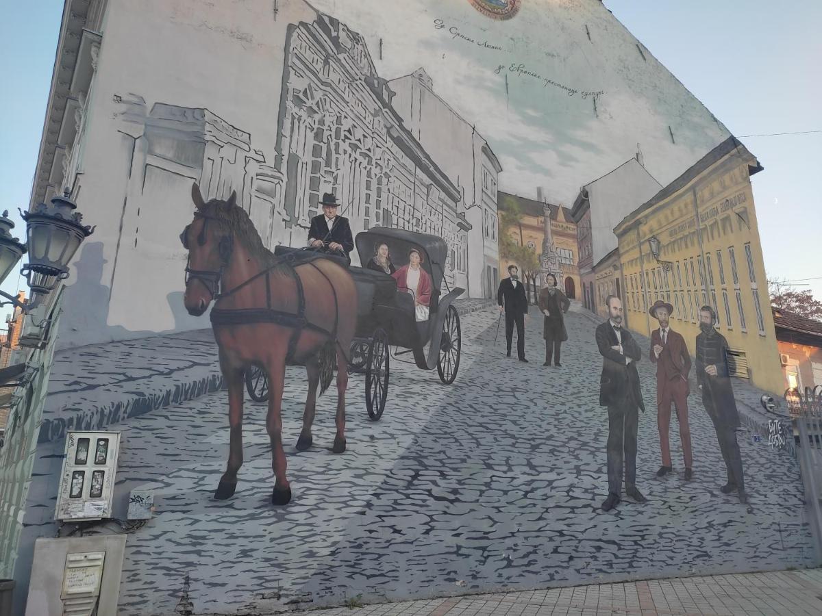 Ferienwohnung Woody Novi Sad Exterior foto