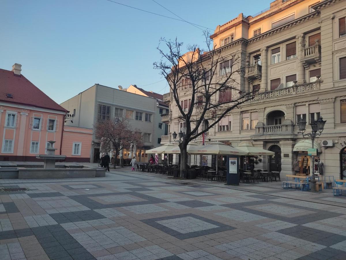 Ferienwohnung Woody Novi Sad Exterior foto