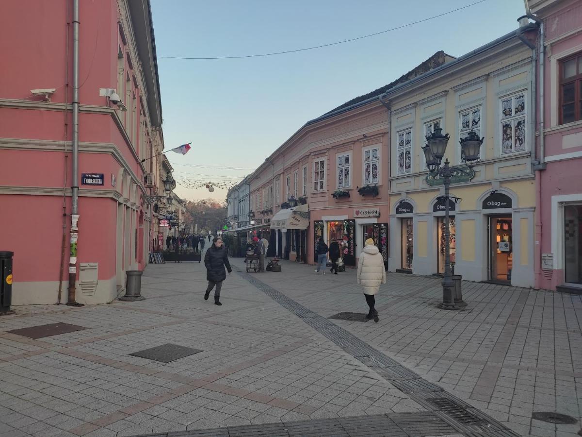 Ferienwohnung Woody Novi Sad Exterior foto